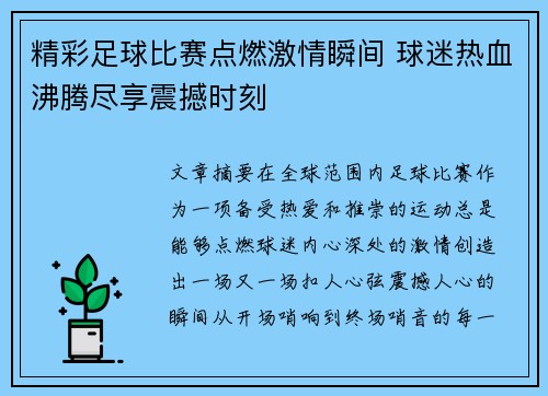 精彩足球比赛点燃激情瞬间 球迷热血沸腾尽享震撼时刻