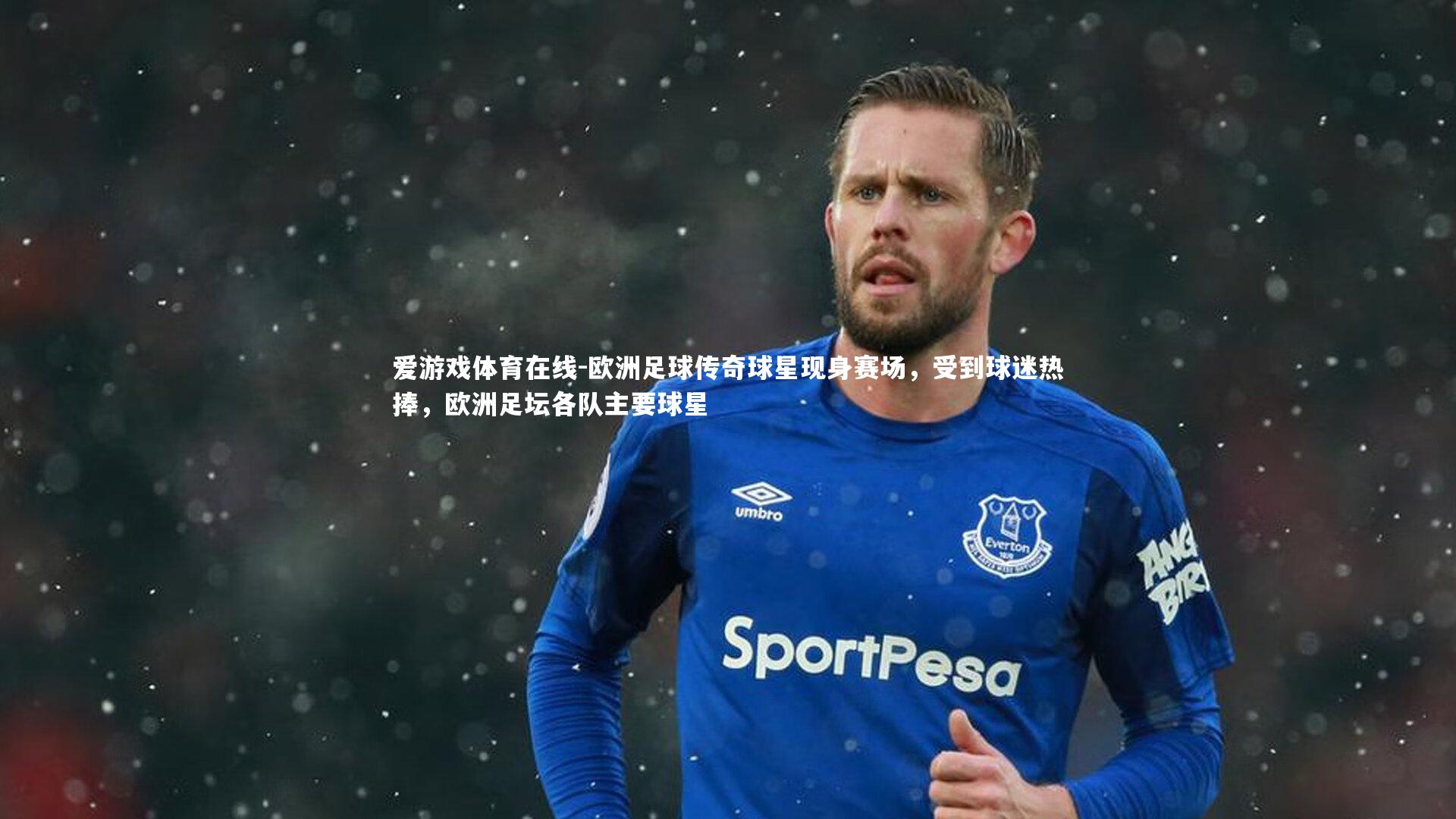 欧洲足球传奇球星现身赛场,受到球迷热捧,欧洲足坛各队主要球星