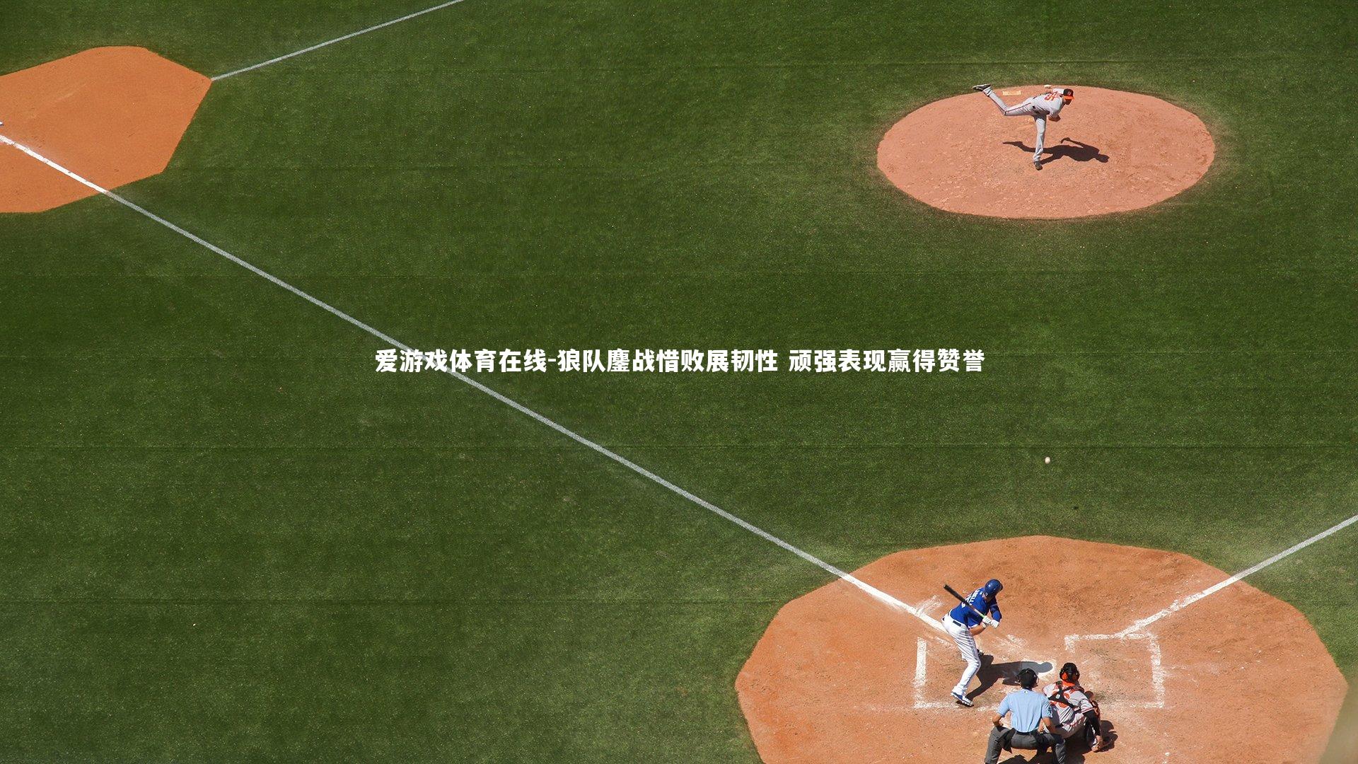 狼队鏖战惜败展韧性 顽强表现赢得赞誉