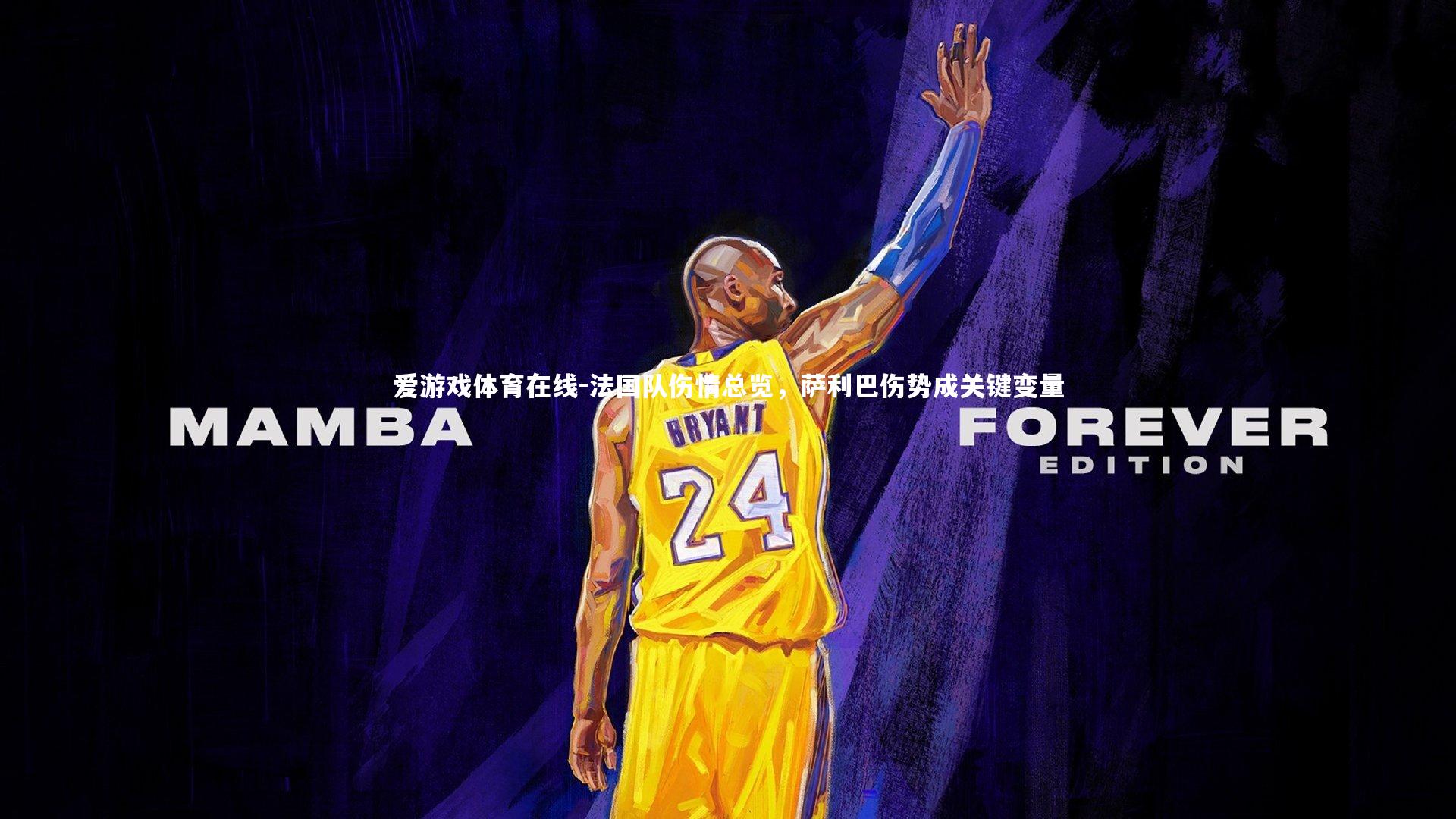 法国队伤情总览,萨利巴伤势成关键变量